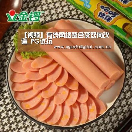 【视频】有线网络整合及双向改造_PG试玩(图2) PG模拟器