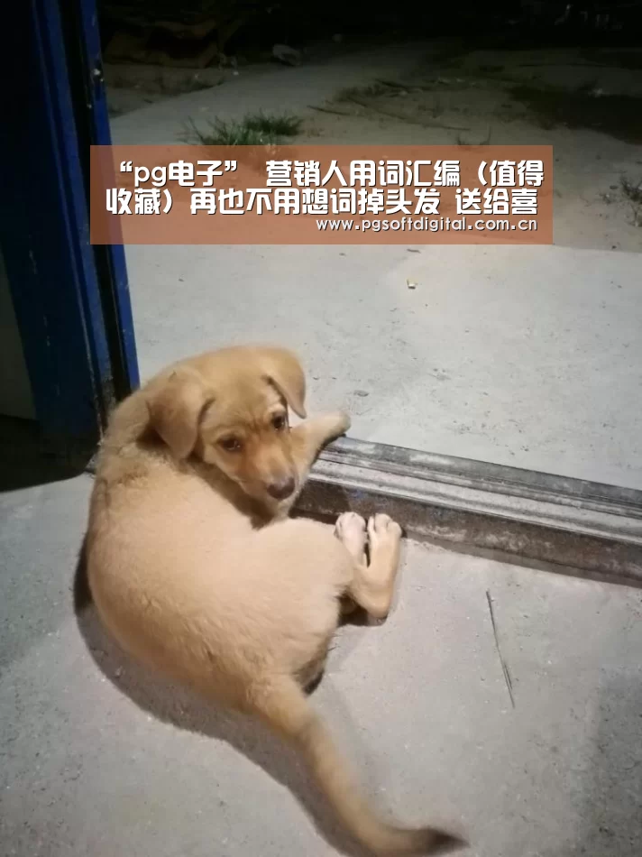 “pg电子”
营销人用词汇编(值得收藏)再也不用想词掉头发 送给喜欢的朋侪(图1) PG模拟器