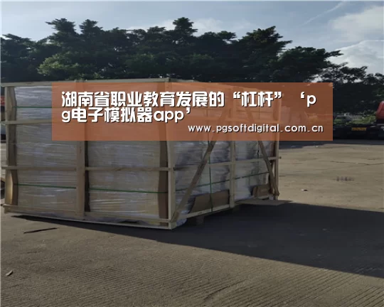 湖南省职业教育发展的“杠杆”‘pg电子模拟器app’(图1) pg电子