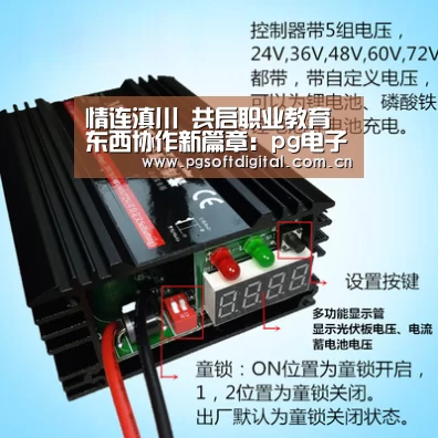 情连滇川 共启职业教育东西协作新篇章:pg电子(图2) PG试玩