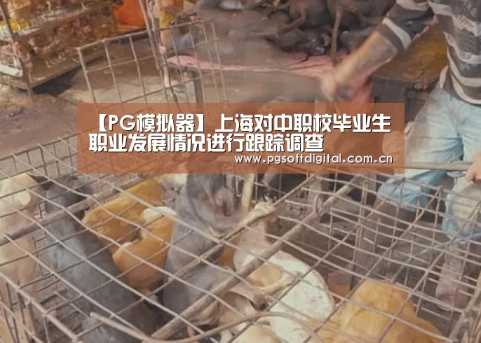 【PG模拟器】上海对中职校毕业生职业发展情况进行跟踪调查(图2) PG试玩