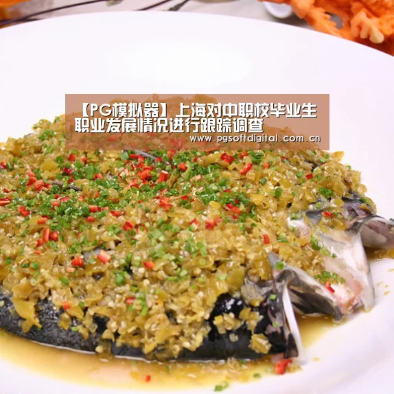 【PG模拟器】上海对中职校毕业生职业发展情况进行跟踪调查(图1) PG模拟器